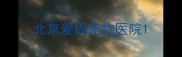 北京爱侣宠物医院
