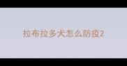拉布拉多犬怎么防疫