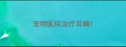 宠物医院治疗耳螨