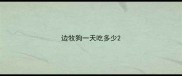 边牧狗一天吃多少