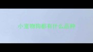 小宠物狗都有什么品种