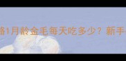 金毛幼犬喂养全攻略1月龄金毛每天吃多少新手必看科学喂养指南