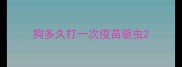 狗多久打一次疫苗驱虫