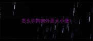 怎么训狗狗外面大小便