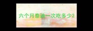 六个月泰迪一次吃多少