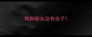 狗狗驱虫没有虫子