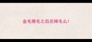 金毛推毛之后还掉毛么