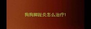 狗狗脚趾炎怎么治疗