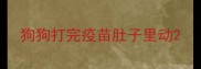狗狗打完疫苗肚子里动