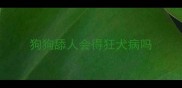 狗狗舔人会得狂犬病吗