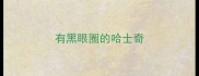 有黑眼圈的哈士奇