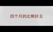 四个月的比熊好丑
