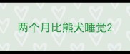 两个月比熊犬睡觉