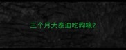 三个月大泰迪吃狗粮