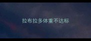 拉布拉多体重不达标