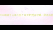 秋田犬6个月大相当于人类几岁幼犬护理全攻略附成长阶段图解