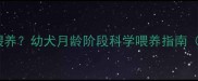 萨摩耶两个月大怎么喂养幼犬月龄阶段科学喂养指南附每日食量计算表
