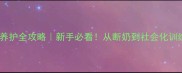 哈士奇50天养护全攻略新手必看从断奶到社会化训练保姆级教程