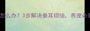 金毛飞耳怎么办3步解决垂耳烦恼养宠必看攻略