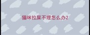 猫咪拉屎不埋怎么办