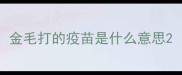 金毛打的疫苗是什么意思