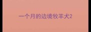 一个月的边境牧羊犬