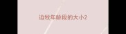边牧年龄段的大小
