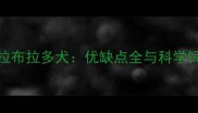 双血统拉布拉多犬优缺点全与科学饲养指南