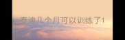 泰迪几个月可以训练了