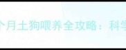 新手必看两个月土狗喂养全攻略科学养宠避免踩坑