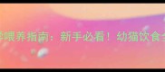 两个月小猫科学喂养指南新手必看幼猫饮食全攻略附食谱