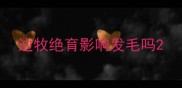 边牧绝育影响发毛吗