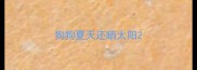 狗狗夏天还晒太阳