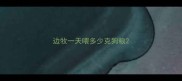 边牧一天喂多少克狗粮