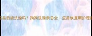 狂犬疫苗后能洗澡吗狗狗洗澡禁忌全疫苗恢复期护理指南