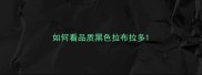 如何看品质黑色拉布拉多