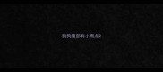 狗狗腹部有小黑点