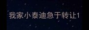 我家小泰迪急于转让