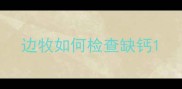 边牧如何检查缺钙