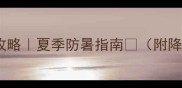 狗狗散热全攻略夏季防暑指南附降温神器清单
