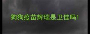 狗狗疫苗辉瑞是卫佳吗