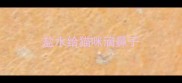 盐水给猫咪滴鼻子