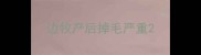 边牧产后掉毛严重