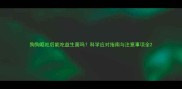 狗狗呕吐后能吃益生菌吗科学应对指南与注意事项全
