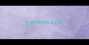 怎样拉布拉多犬毛好