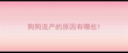 狗狗流产的原因有哪些