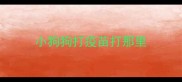 小狗狗打疫苗打那里