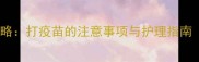 小狗三联疫苗全攻略打疫苗的注意事项与护理指南附完整时间表