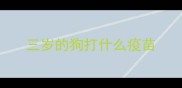 三岁的狗打什么疫苗