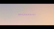 黑色拉布拉多多少价
